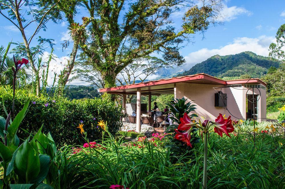The Inn At Palo Alto Boquete Dış mekan fotoğraf