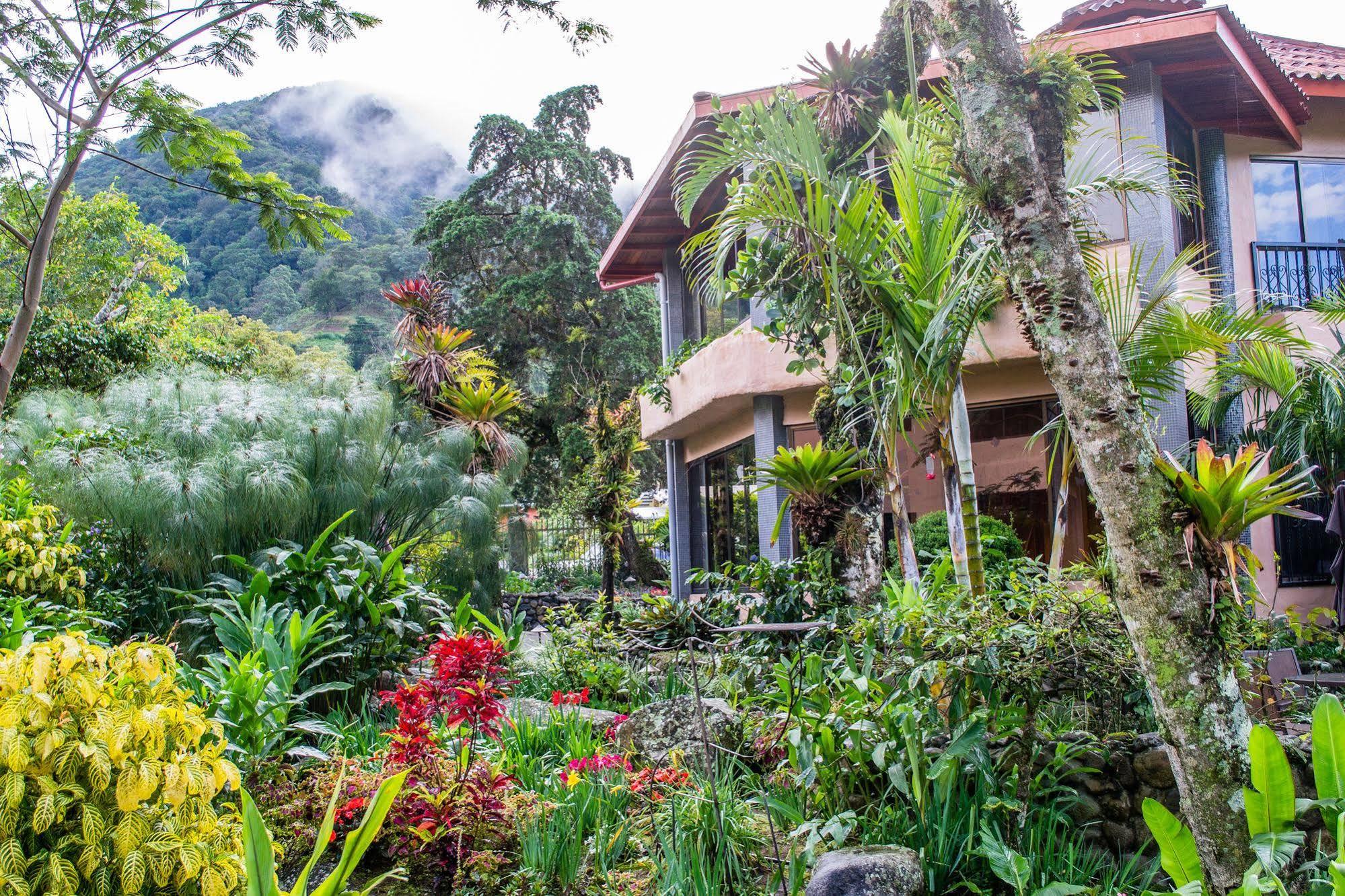 The Inn At Palo Alto Boquete Dış mekan fotoğraf